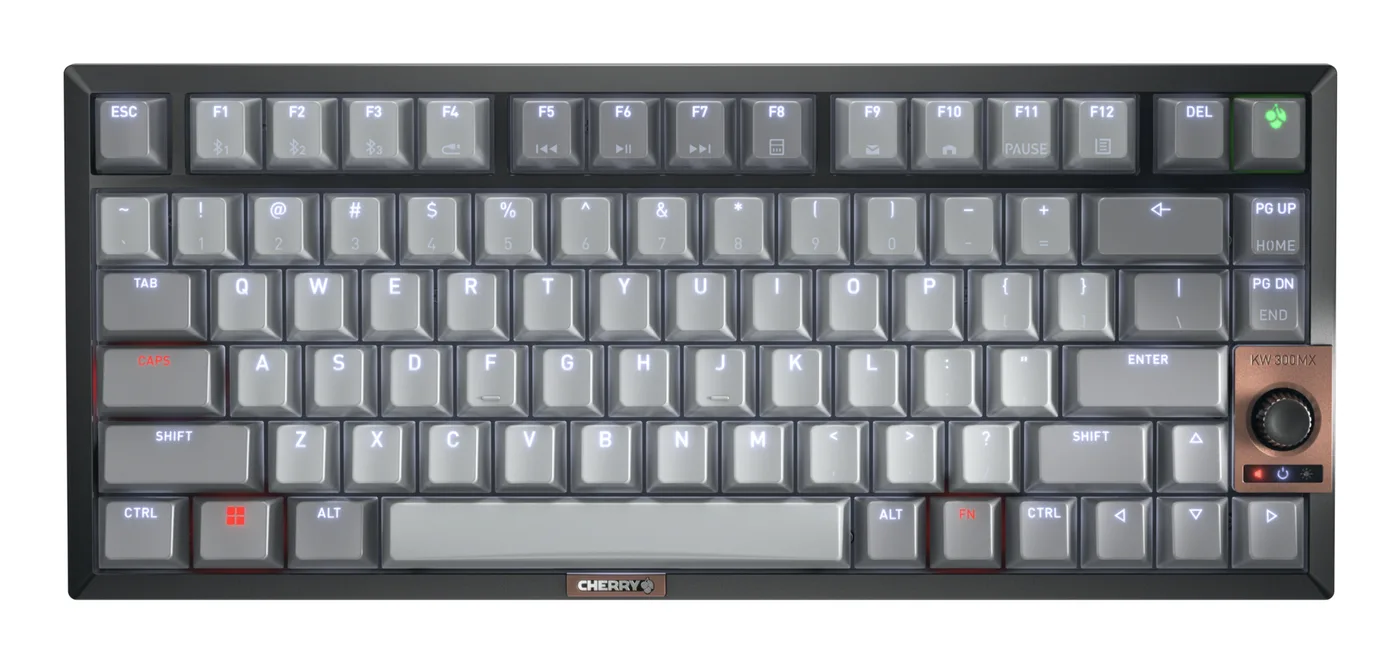 Cherry 12033087/KEYBOARD WIRELESS MX 2A SILENT R — klawiatura