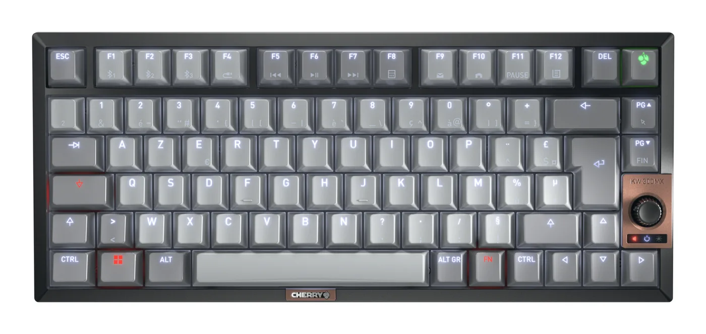 Cherry 12033088/KEYBOARD WIRELESS MX 2A SILENT R — klawiatura