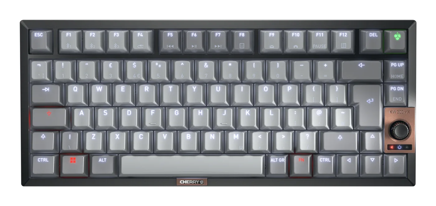 Cherry 12033064/KEYBOARD WIRELESS MX 2A SILENT R — klawiatura
