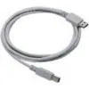 Datalogic Cable, USB, Type A, Straight, CAB-438, 6.5 ft — akcesorium do czytników kodów