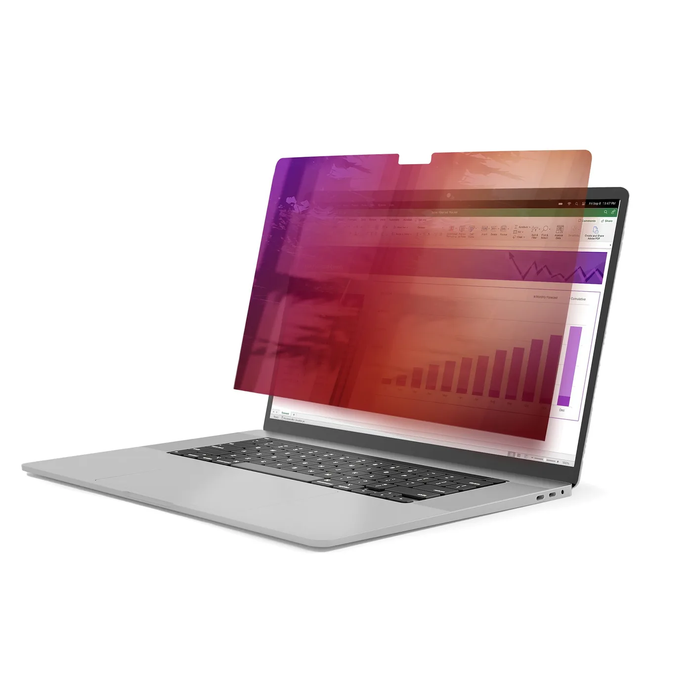 StarTech 14IN MACBOOK PRIVACY SCREEN/GOLD PRIVACY FILTER/SECURITY SHI — akcesorium do monitorów