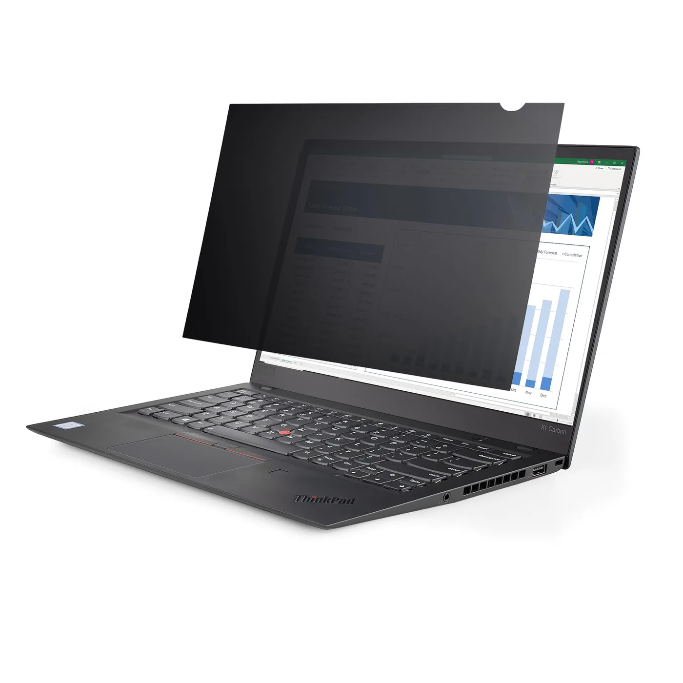 StarTech 17.3 LAPTOP PRIVACY FILTER — akcesorium do laptopów